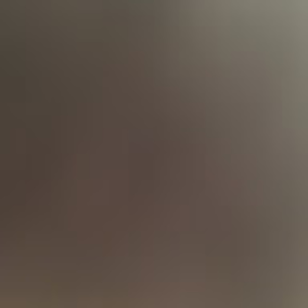 Meet your Posher, Lyucyselkie